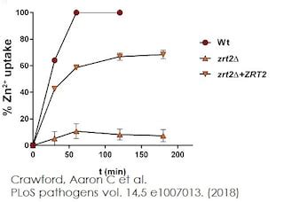 zinc elisa kit|Zinc Assay Kit (ab102507) .